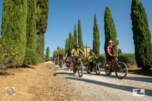 fc6d8d43-7e97-4994-b4b6-ad2f7ef7744b