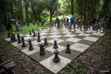 75d8eb1d-fbc4-4ed2-a158-f315cbf949aa