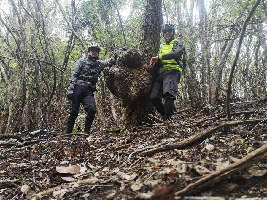 7ebf2fd6-adaf-44a6-b5aa-0d1e70b02aa4 7ebf2fd6-adaf-44a6-b5aa-0d1e70b02aa4