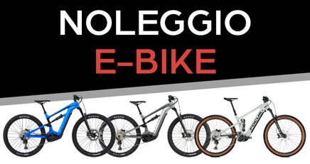 6511ede6-4297-4c4b-b479-126d8fd5faa0