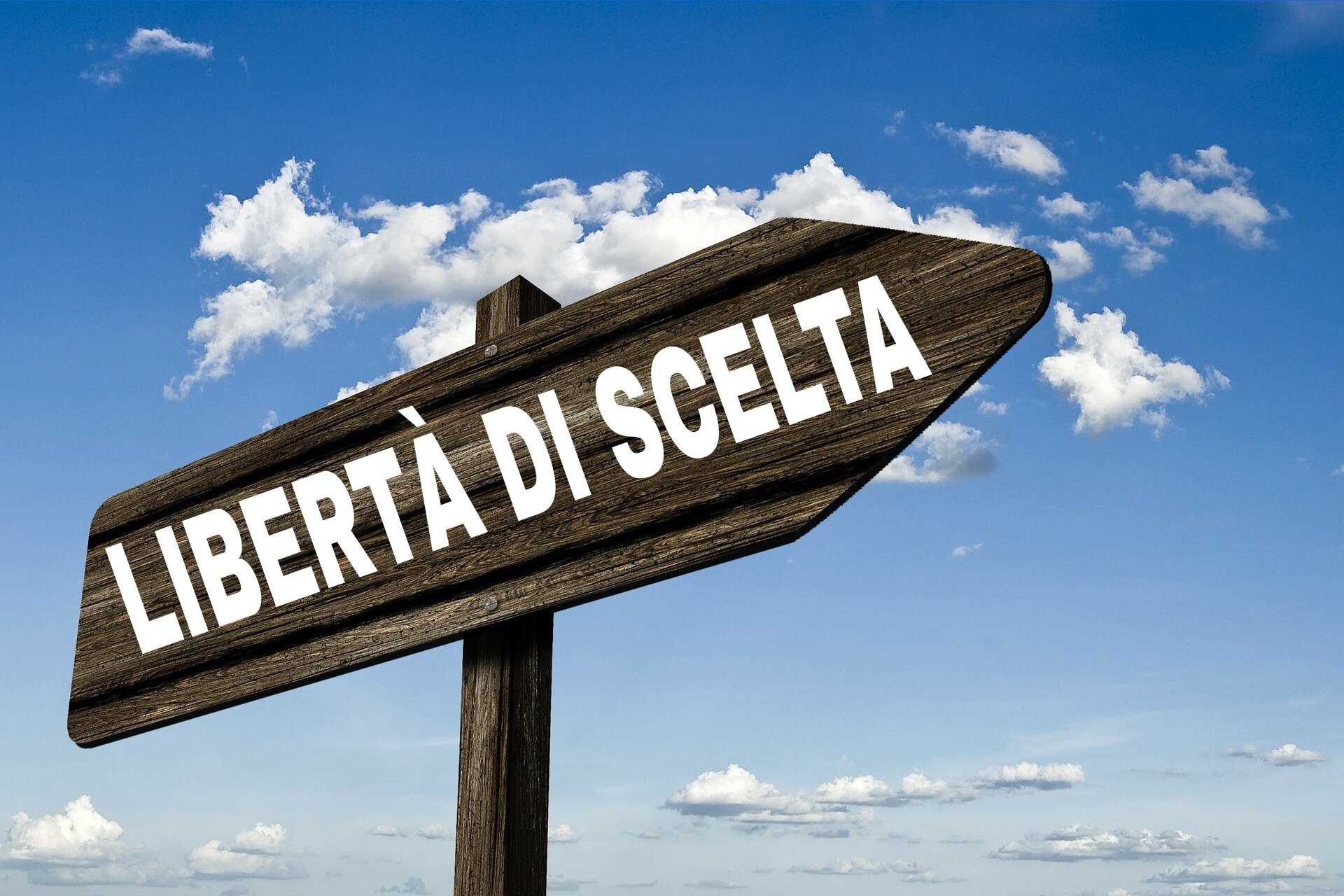 Arriva il silenzio/assenso. Libertà a rischio in Italia. Arriva il silenzio/assenso. Libertà a rischio in Italia.