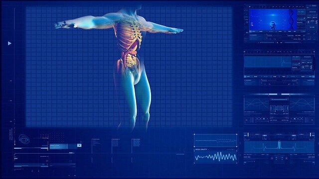 Ricerca, ripristinati organi un ora dopo la morte Ricerca, ripristinati organi un ora dopo la morte