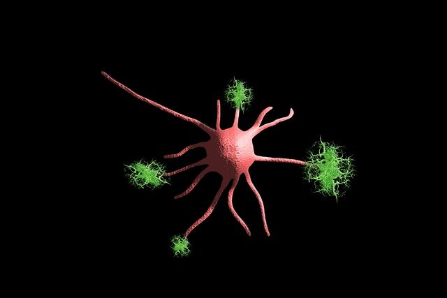 Giornata Mondiale Alzheimer, patologia in aumento, le donne più colpite Giornata Mondiale Alzheimer, patologia in aumento, le donne più colpite
