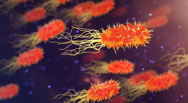 L' intelligenza artificiale individua la molecola per uccidere il killer dei batteri L' intelligenza artificiale individua la molecola per uccidere il killer dei batteri