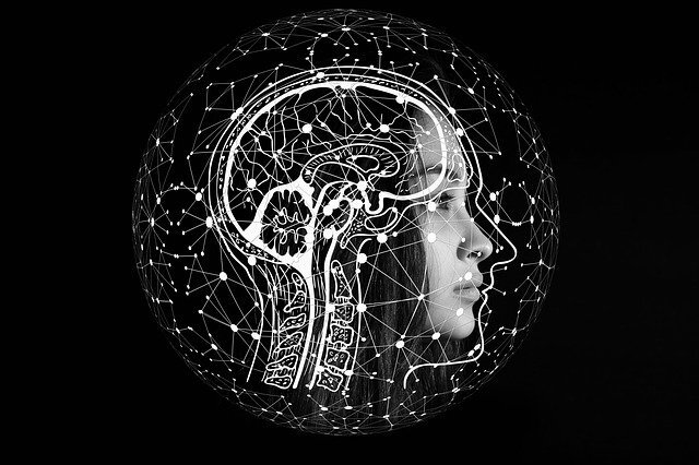 Incredibile ricerca, cervello ringiovanisce grazie all'intestino. Incredibile ricerca, cervello ringiovanisce grazie all'intestino.