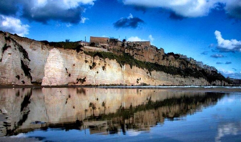 34666_2595e6cd24123983f433adc0d2c22611b5e652dd