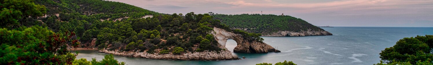 arco-san-felice-vieste-cut.jpeg arco-san-felice-vieste-cut.jpeg