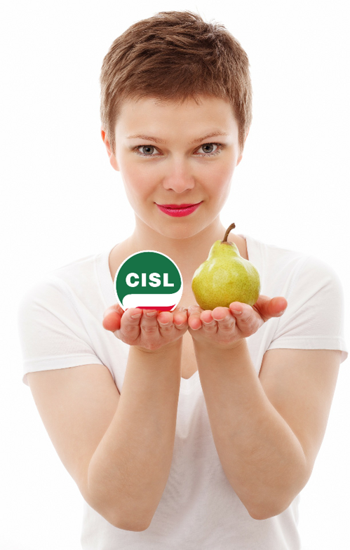 95ecdea3-83a8-4e3d-be46-70e2cf490410