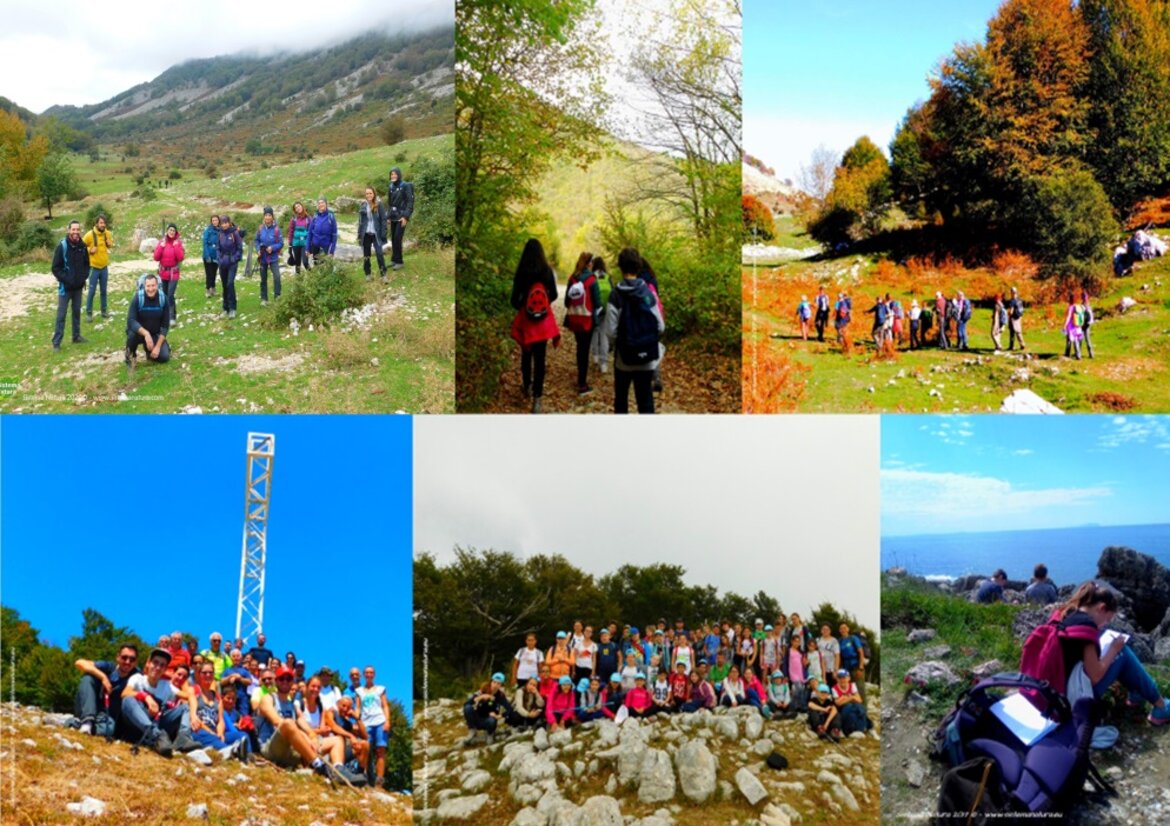 8197a26a-ac7f-40d0-a6cd-acde70ea5522 8197a26a-ac7f-40d0-a6cd-acde70ea5522