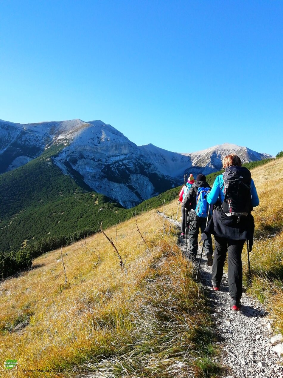 4e19c4a1-f928-461d-9f23-46336af301b3 4e19c4a1-f928-461d-9f23-46336af301b3