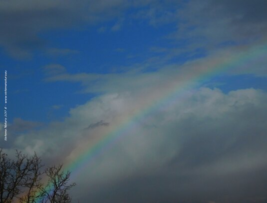 arcobaleno_sistemanatura_2017.jpeg