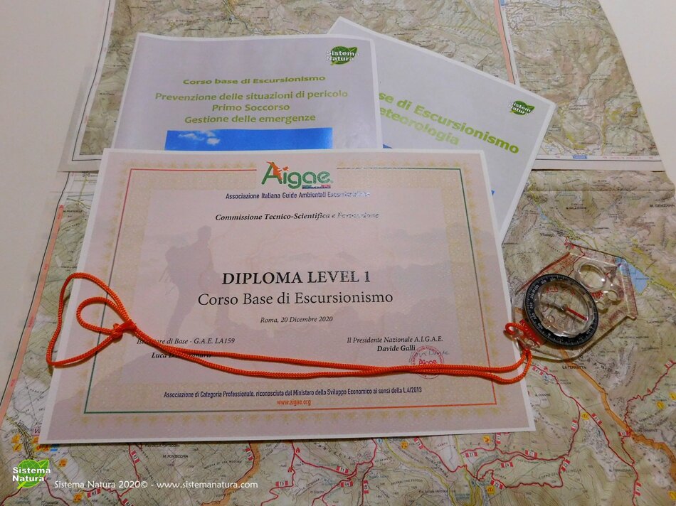 d8755fa5-0e14-4315-972c-dd51eb00dcb7