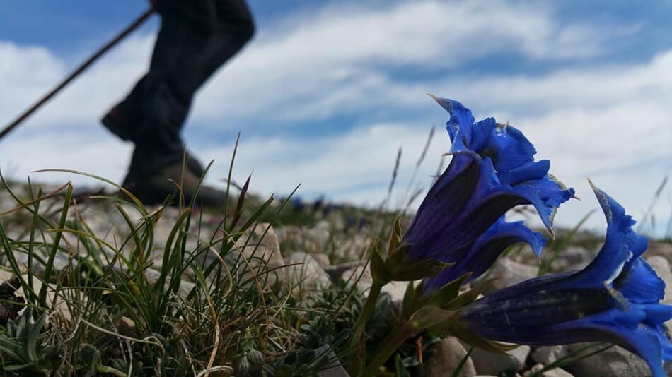 988bdfda-f3bd-4ed9-abda-586df0fced1d