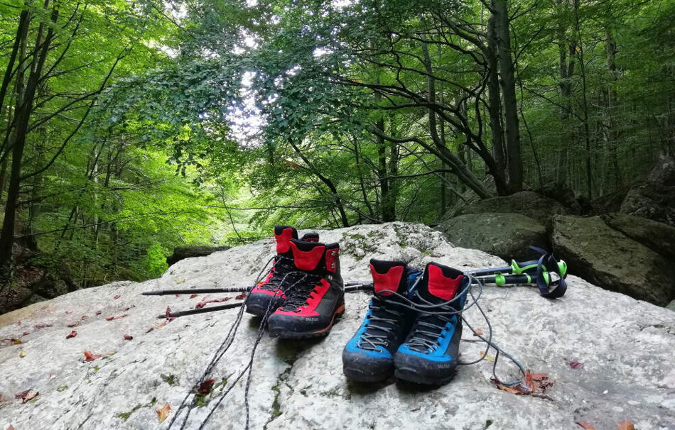 e5e39c61-0bff-411b-af3f-17940321fda3 e5e39c61-0bff-411b-af3f-17940321fda3