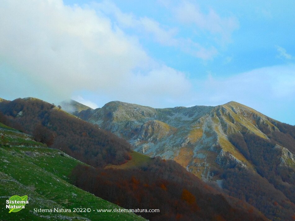 4e21c68f-d466-4aa6-a2bb-0c4bcdb41b59