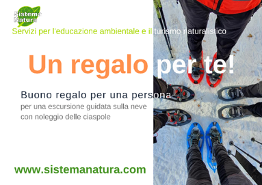 421647d8-5a86-426f-a39b-390fdc1e8d8e