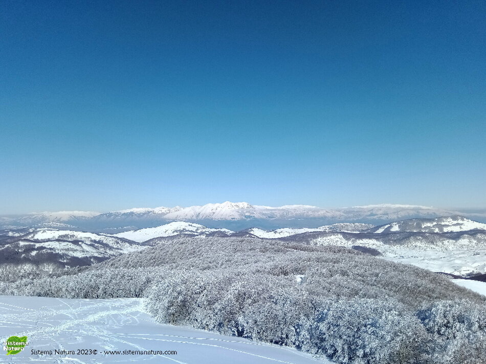 92b29d33-1db9-4f4f-8f12-208ac4041868