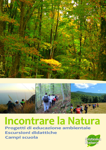 8d55871e-7251-4afd-a140-3f68e22c72cf 8d55871e-7251-4afd-a140-3f68e22c72cf