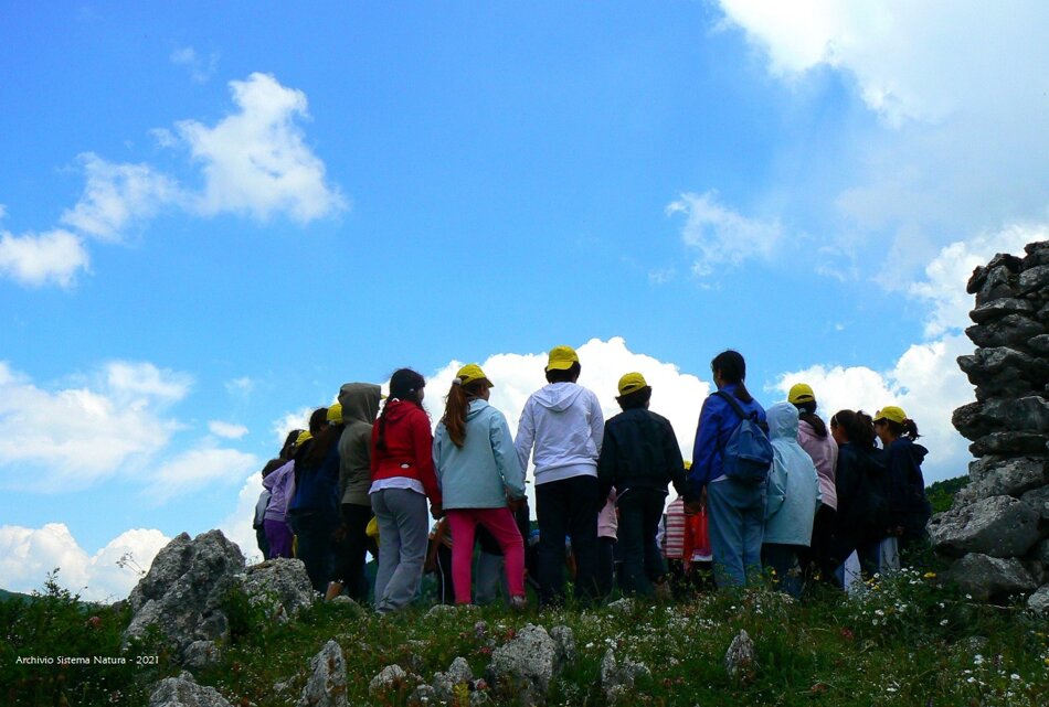 d7b0c4f9-a2a1-4332-a926-b999cfad0503