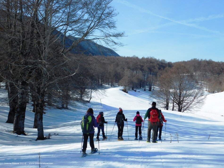 0718adf0-f36c-476f-9b02-ce9e98258a84 0718adf0-f36c-476f-9b02-ce9e98258a84