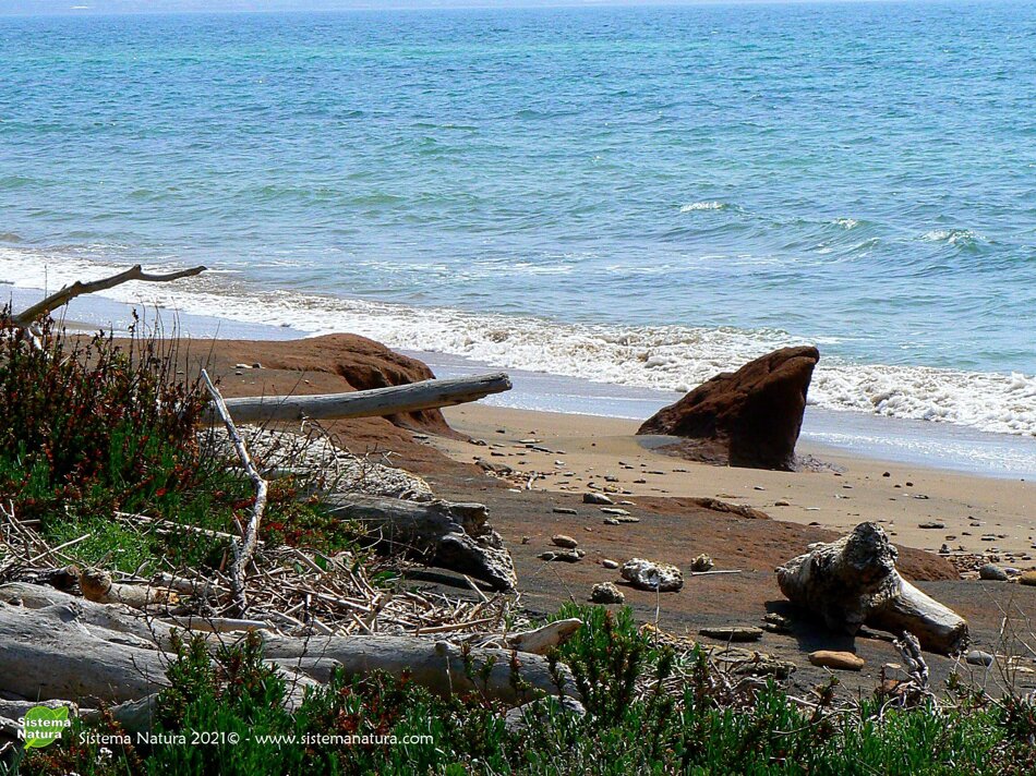 3249b3c6-da3b-4835-ac6c-7375831f48a2