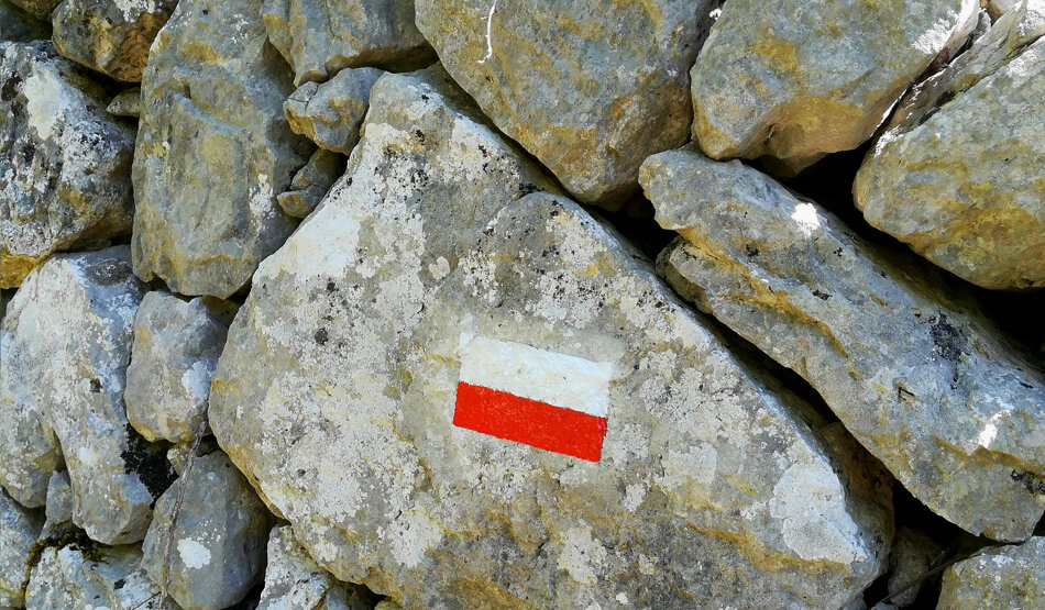 88e76958-f627-4951-a424-e58d9cb8c714