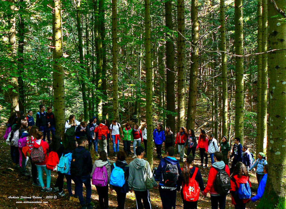 05291ad6-fd37-4d73-9e06-62b14e4165c1