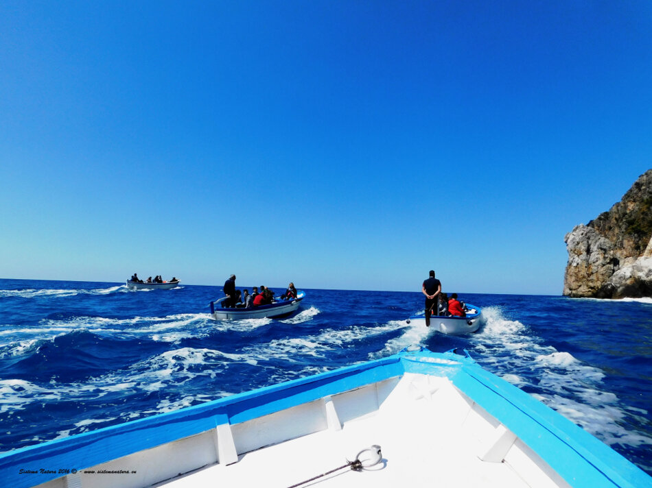 aa655a69-ee6b-456e-8be3-a59b66fcc29e