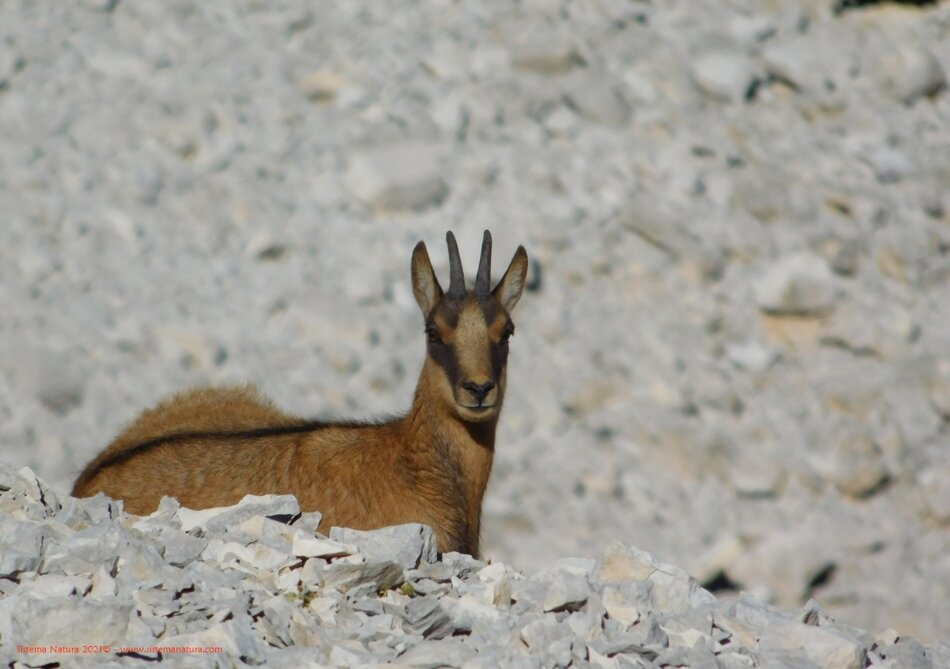 7c4c5732-75ef-4b12-bc6a-c936394a1e02