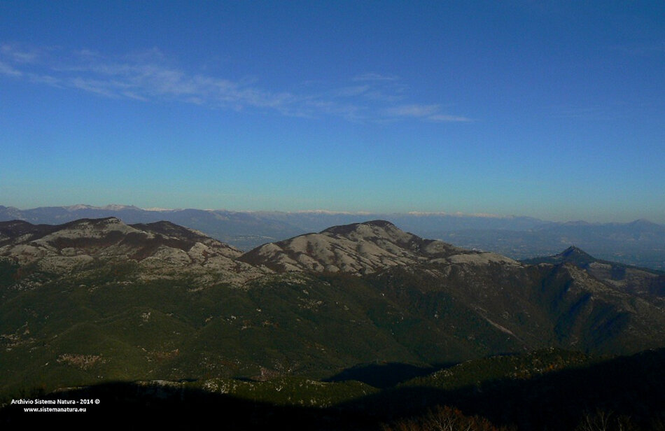 39a0329e-f07a-42ae-bb1d-6baeb577a462