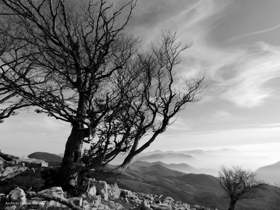 58b7b9e3-4756-475e-ace0-63a1fbfdddb2 58b7b9e3-4756-475e-ace0-63a1fbfdddb2