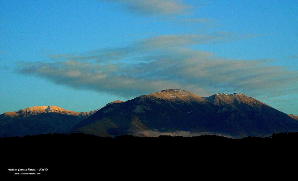 44e55aaf-8150-4907-88b2-b87fc46010e0