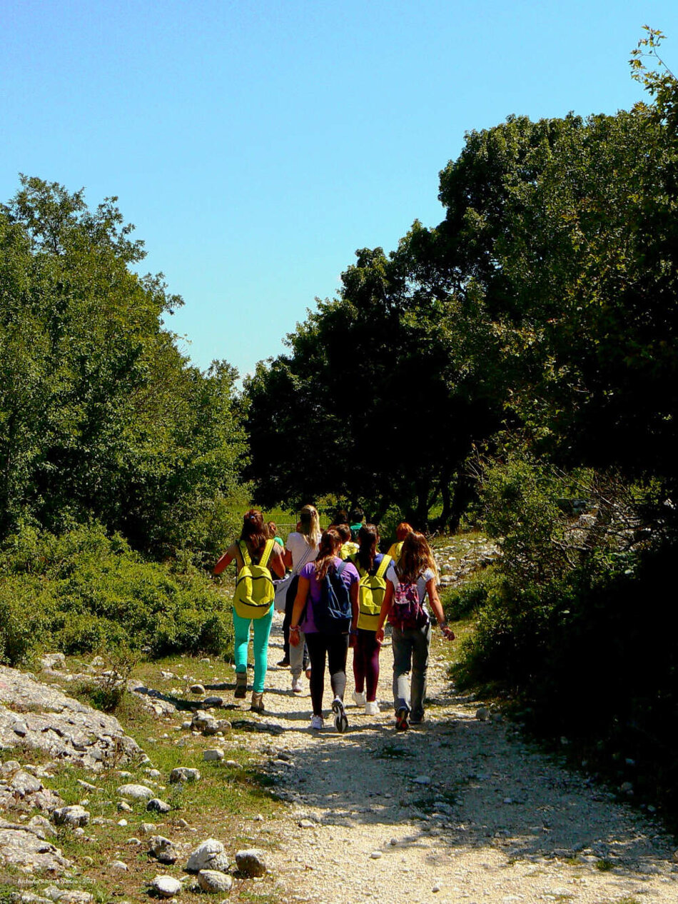 37929348-f3ce-48fd-9c19-31a254efa231