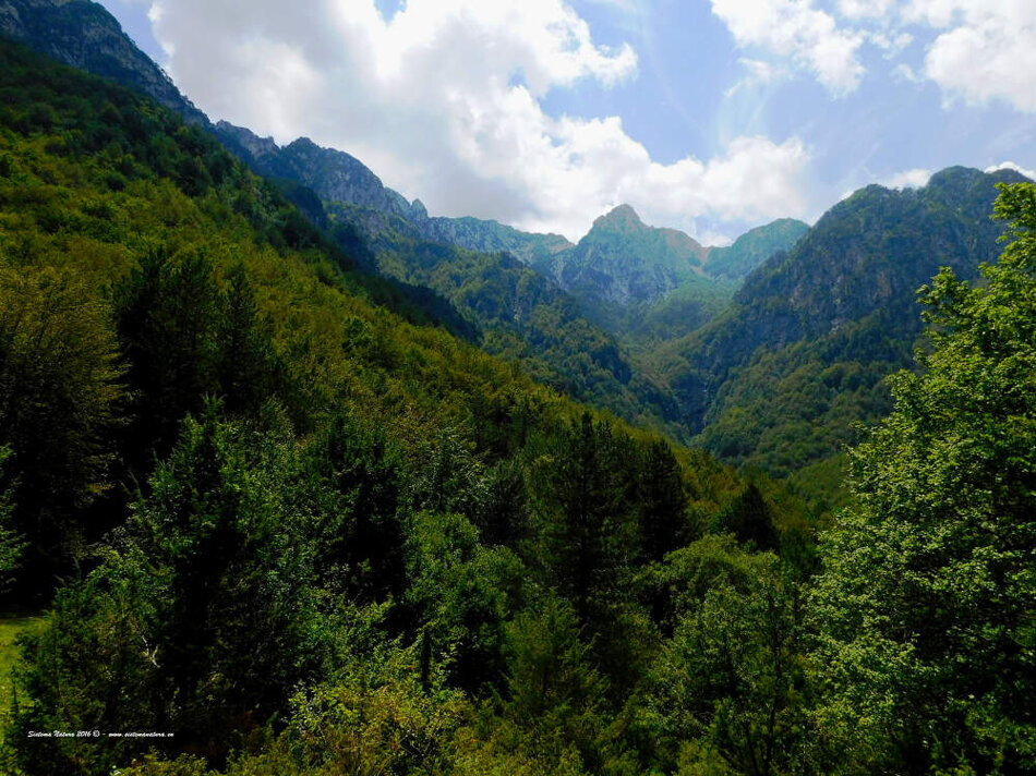 65d8d0a8-ce34-4fca-8287-cb4fe429d2fc