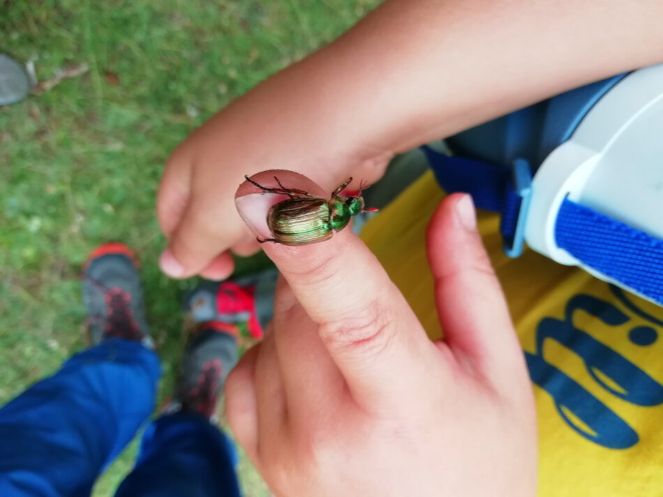 86be67fb-9bc0-4b0d-bbaf-7ea010388b6a