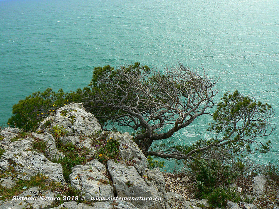 53e82cee-8a1c-4788-8e0f-31a12801091f