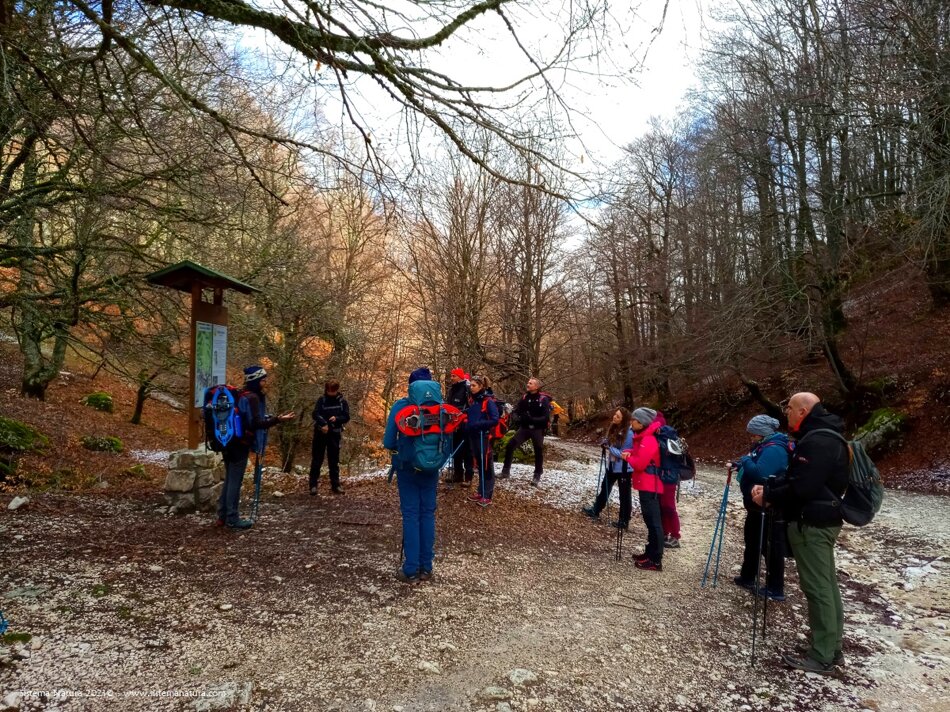 5ad40e1e-8192-4b9f-8e9f-ea7a8915d73d