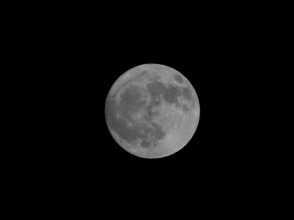 9abda4bc-0294-46ac-a540-cde9a58b394d