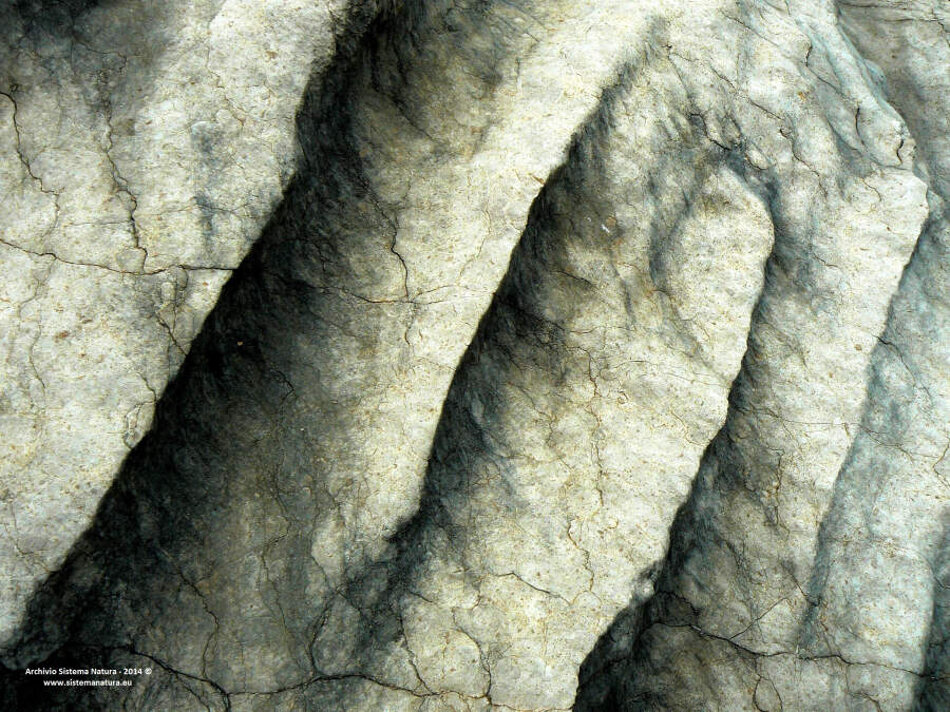 f8581621-ff35-4a86-bdf0-a278a3dad5c9