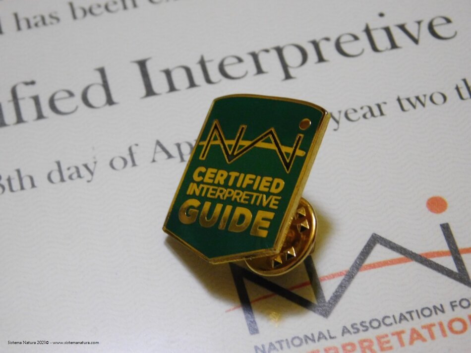 3f4210db-970d-4f76-ba44-e849d7c0def0