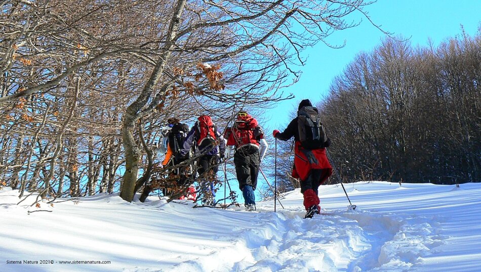 8913bda4-54fe-4fce-ac8c-2525a4d3eb55