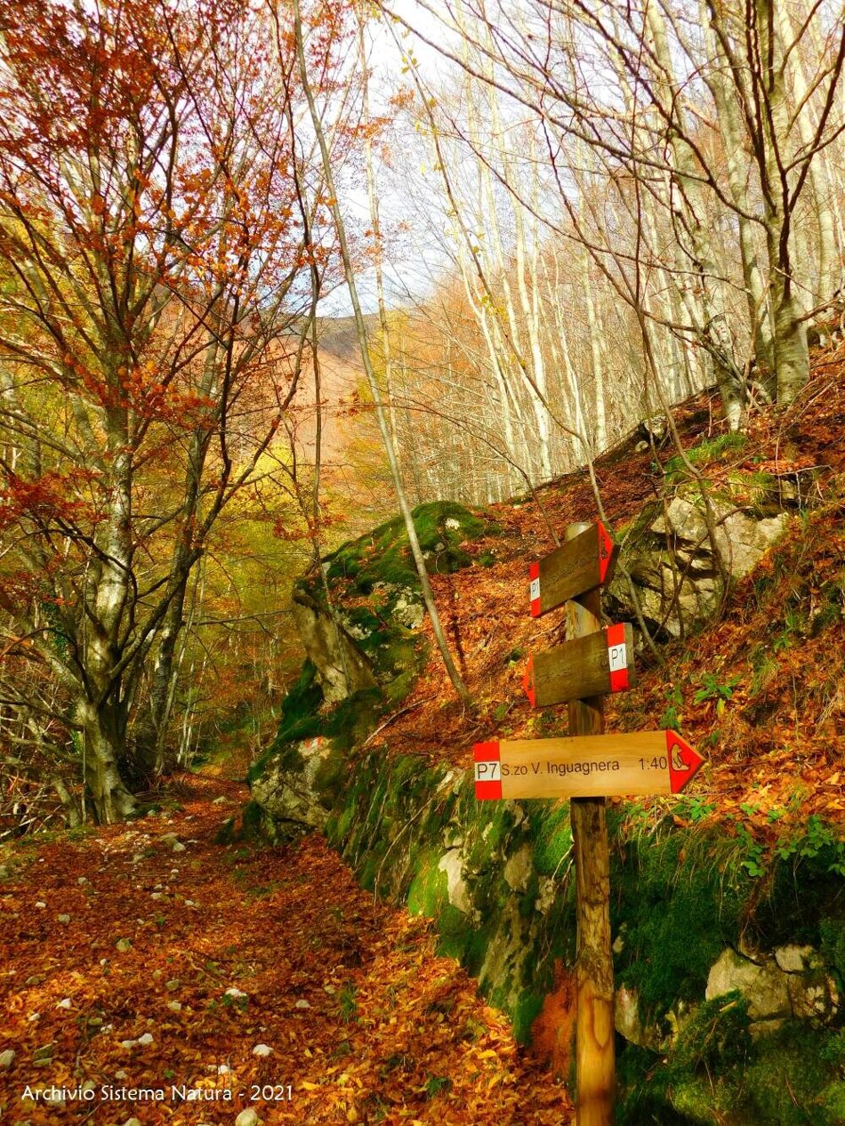 9728d2dd-309e-49b7-b742-07da6b5ce48c