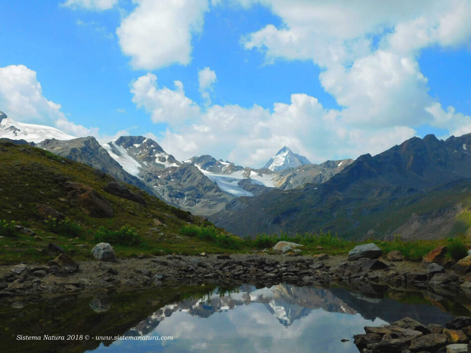 20a0f235-c0a4-4e39-9e78-17130c2ed34c