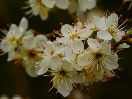 2268bf82-5974-4e72-accb-b9ab01ca775f 2268bf82-5974-4e72-accb-b9ab01ca775f