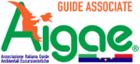 aigae_logo_guide_associate aigae_logo_guide_associate