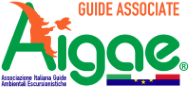aigae_logo_guide_associate aigae_logo_guide_associate
