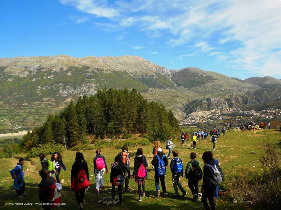 b1038f02-2bf4-493b-9b33-a429a9ebcb27