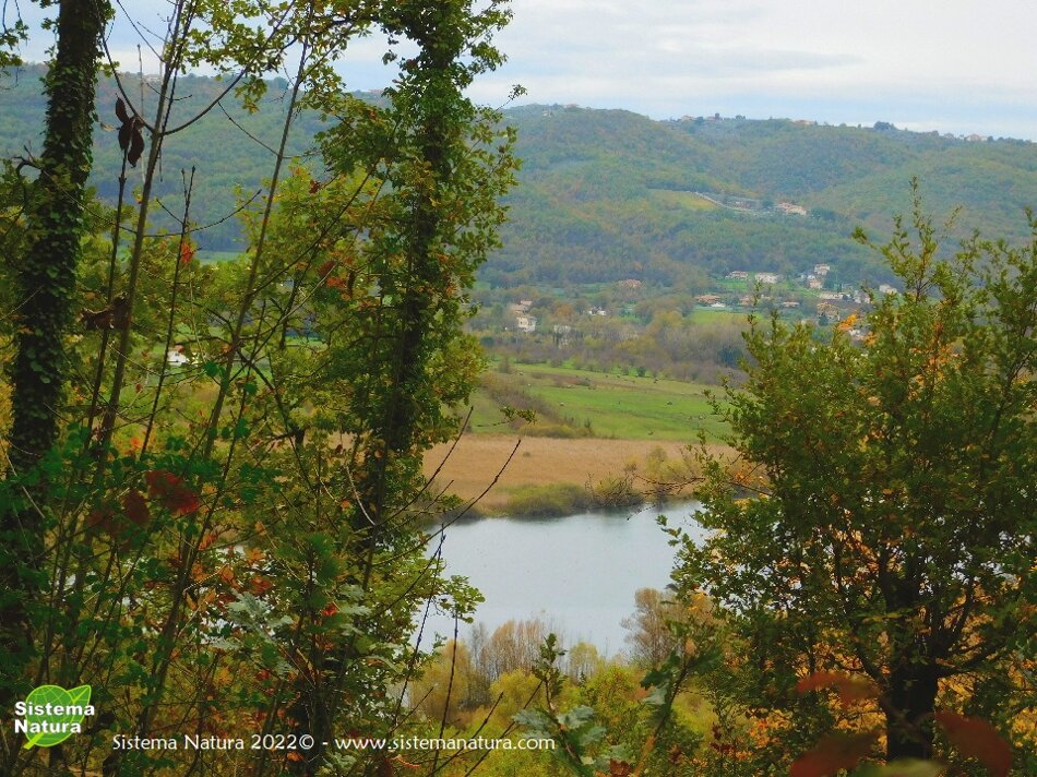 3c8af91c-a793-4867-8b68-49f97ffb3306