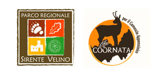 baafdfbb-8c4f-4165-82e1-9599ff79dc03