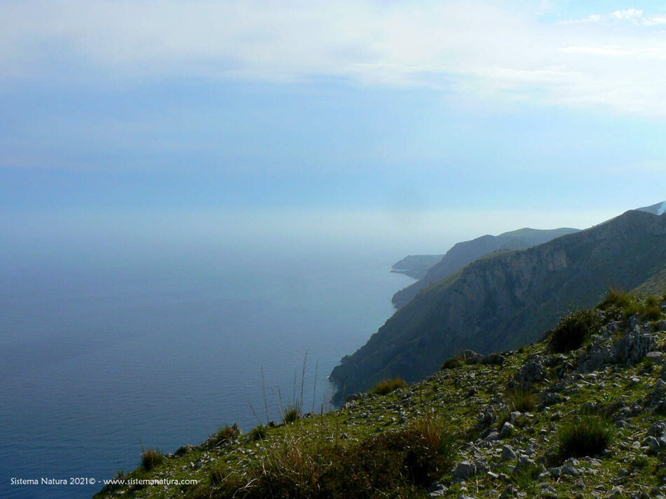 2bb2d3ee-ed58-44c3-9a2c-ad8bfe04f450